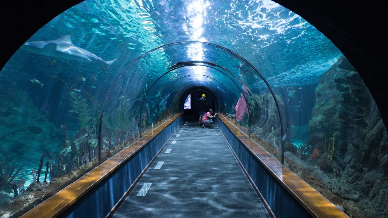 Alt=”看護　進路　高校生”